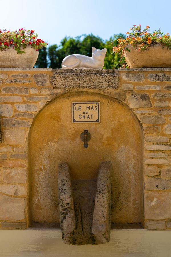 Bed and Breakfast Le Mas Du Chat Cavaillon Exteriér fotografie